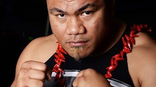 DAVID TUA  HighlightsKnockouts [upl. by Mylander208]