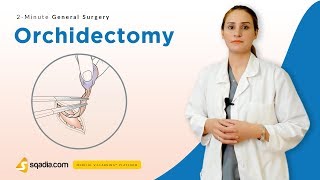 Orchidectomy  Surgery Video Lectures  Medical Student Education  VLearning [upl. by Elrem403]