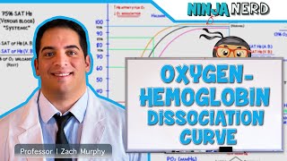 Respiratory  OxygenHemoglobin Dissociation Curve [upl. by Pavkovic]