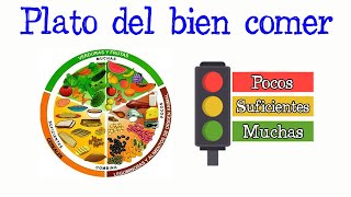 🍳Plato del bien comer🍎 Fácil y Rápido  BIOLOGÍA [upl. by Jule]