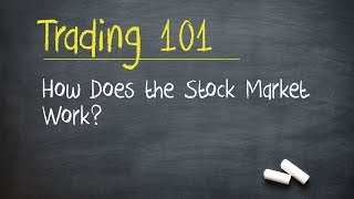 Trading 101 How Does the Stock Market Work [upl. by Jacqui]