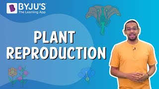 Plant Reproduction  Class 5 I Learn with BYJUS [upl. by Eiramlatsyrc]