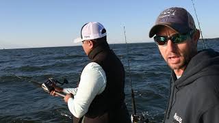 How To Troll for Fall Chesapeake Bay Rockfish and Bluefish [upl. by Gapin]