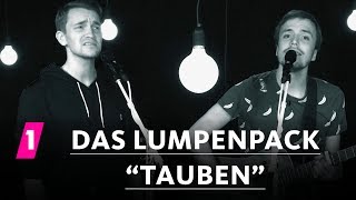 Das Lumpenpack quotTaubenquot  1LIVE Session [upl. by Eissak430]