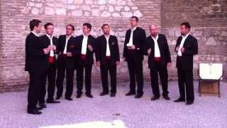 Croatian Klapa Performance [upl. by Ened]