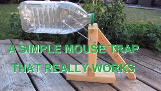 Simple mouse trap that works REALLY [upl. by Daisey]