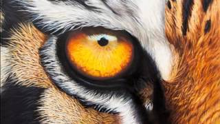 ojo de tigre Tigers Eye remix dj jeyck brazon [upl. by Nytsrik]