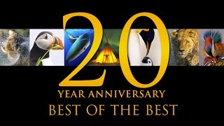 Best of the Best 20 Years of Natures Best Photography [upl. by Luben]