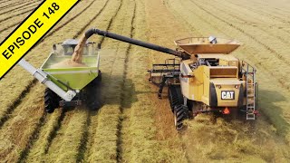 2020 California USA Rice Harvest  Tractor Video [upl. by Anigal575]