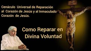 Como reparar en la Divina Voluntad Dr Salvador Thomassiny [upl. by Nonnel]