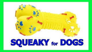 Dog Squeaky Toy  Sounds that attract dogs prankyourdog squeaky [upl. by Blessington982]