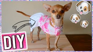 HAZ ROPA PARA TU PERRITO  FACIL [upl. by Imot]