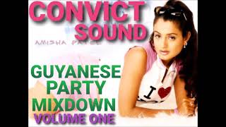 GUYANESE PARTY MIX DOWN [upl. by Antone]