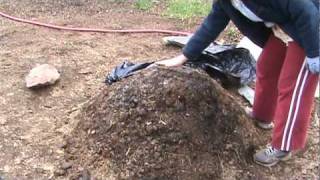 How to Compost Manure in Thirty Days [upl. by Aronaele]