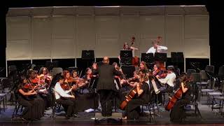 Pickerington High School North Chamber Strings  quotFalling Slowlyquot [upl. by Ellimak]