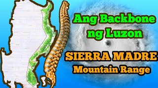 Sierra Madre Mountain  Natural Barrier and the Protection of Luzon [upl. by Milan]