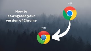 How to downgrade your version of Chrome [upl. by Eimmot]