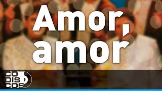 Amor Amor Binomio De Oro  Audio [upl. by Alburga]