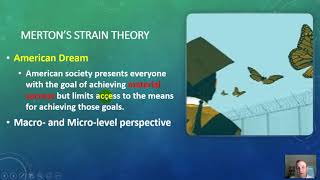 Strain Theories in Criminology [upl. by Aleydis75]