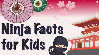 Ninja facts for kids [upl. by Ellene]