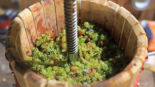 Making a White Wine from Grapes [upl. by Anastos833]