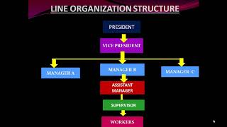 TYPE OF ORGANIZATIONAL STRUCTURE 1  LINE ORGANIZATION LINE amp STAFF ORGANIZATION [upl. by Carissa]