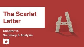 The Scarlet Letter  Chapter 14 Summary and Analysis  Nathaniel Hawthorne [upl. by Llenej]