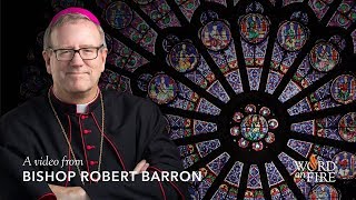 Bishop Barron on Notre Dame Rose Window [upl. by Dadelos]