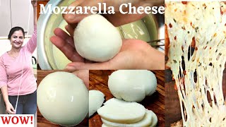 How to make Mozzarella Cheese at home  Homemade Mozzarella Cheese  Mozzarella  Cheese Recipes [upl. by Aufa247]