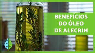 Óleo de Alecrim 🪔🍃 Propriedades benefícios e como fazer [upl. by Ahsaenat]