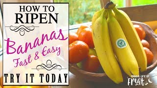 How To Ripen Bananas FAST amp EASY Try It Today [upl. by Atekihc]