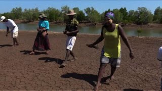 Replanter la mangrove pour améliorer le quotidien des pêcheurs [upl. by Yevi]