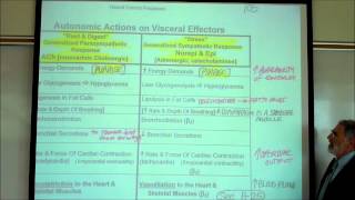 AUTONOMIC NERVOUS SYSTEM PART 2 by Professor Finkwmv [upl. by Vipul736]