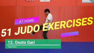 51 Judo ExercisesDrills You Can Do At Home [upl. by Eisso992]