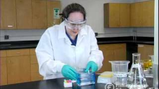 Electrophoresis Basics [upl. by Anelliw]