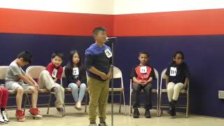 2019 Spelling Bee 3rd Grade [upl. by Hannavas]