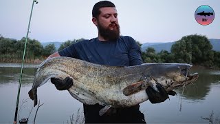 Sakarya Nehri Balık Avı  Yayın Avı [upl. by Coulter]