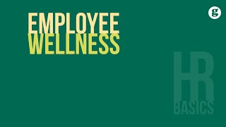 HR Basics Employee Wellness [upl. by Nemzaj]