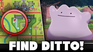 Where To Find Ditto In Pokemon Sword And Shield [upl. by Dygall]