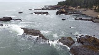 Bank Fishing the Oregon Coast for Rockfish and Surfperch [upl. by Cantlon]