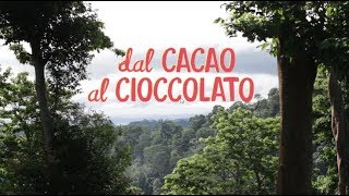 Dal cacao al cioccolato  The Fair Trade Cocoa Journey [upl. by Holland636]