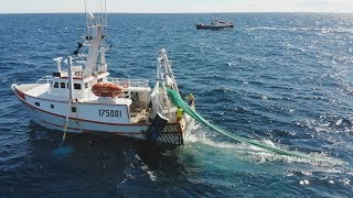 Vivre de la mer  Pêche du homard [upl. by Nitsu]