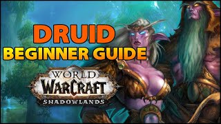 Druid Beginner Guide  Overview amp Builds for ALL Specs WoW Shadowlands [upl. by Saile605]