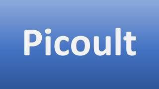 How to Pronounce Picoult [upl. by Jayne]