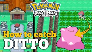 How to catch DITTO in Pokemon Platinum [upl. by Nedyah]