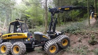 Mighty Machines In the Forest [upl. by Ree]