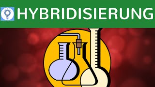 Hybridisierung amp DNAHybridisierungsverfahren einfach erklärt  SouthernBlotting amp Bsp  Analyse 2 [upl. by Robins]