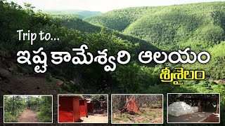 Trip to Srisailam forest ISHTA KAMESWARI TEMPLE [upl. by Turne]