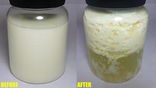 Milk to Curd timelapse 10 hour in 2 minutes [upl. by Raymond]