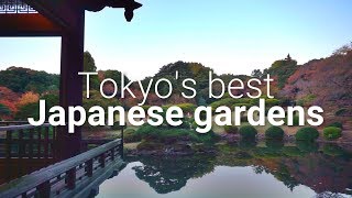 Japan Vlog  Tokyos Best Japanese Gardens [upl. by Davie913]